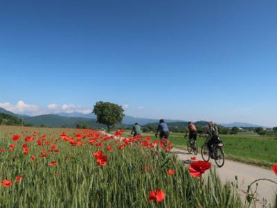 CICLOPASSEGGIATA IN VALLE GRANA